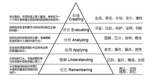 二、 种生基主要类型及其空间属性