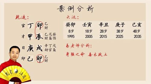 四、  实证案例分析：张先生与生肖龙命局的深度剖析