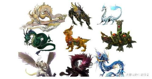 龙凤文化的起源：夏商时期的祥瑞征兆