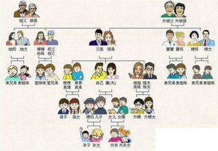 三、 情感功能与社会周边环境角色解析