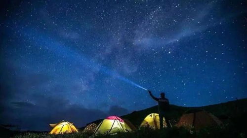南山植物园：亲子农场+星空观测， 城市里的“诗和远方”
