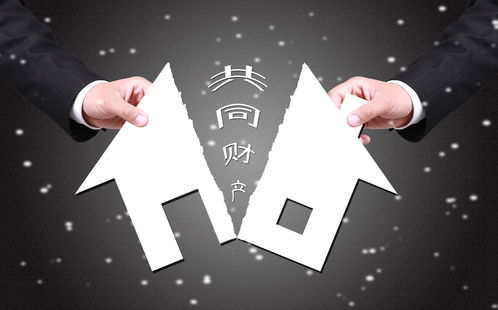 四、  深度案例分析：七年之痒与第三者介入的玄学应对