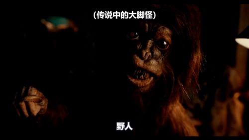 较深入调研
