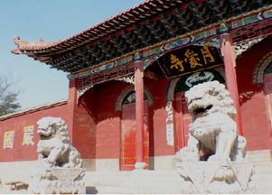 A. 月爱寺：荒凉却不失庄严