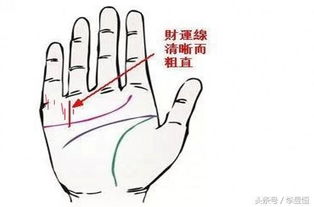 手相中哪种手相特征预示着容易发财？