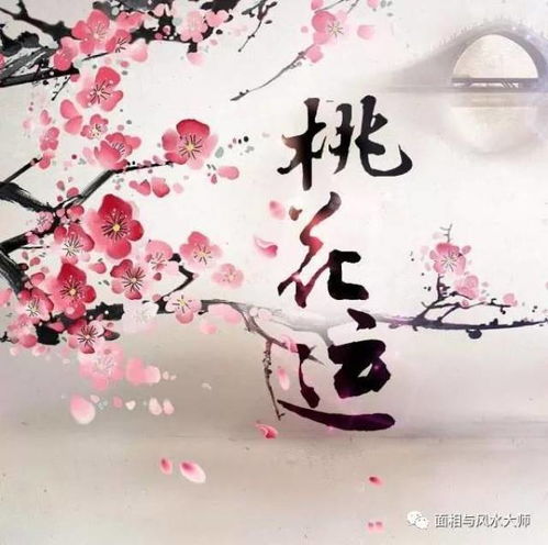 我最近运势如何？想了解一下自己的桃花运怎么样？