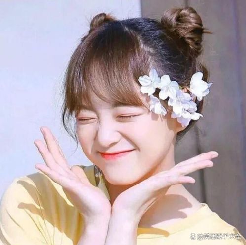 2.1 各生肖名称解析