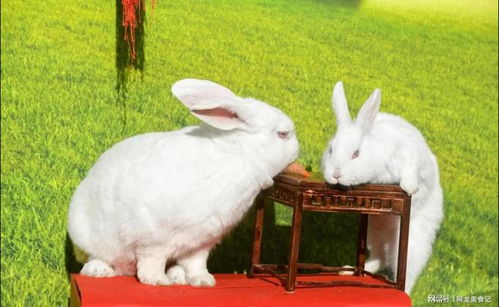 踏门槛之禁忌：风水考量与民俗传承