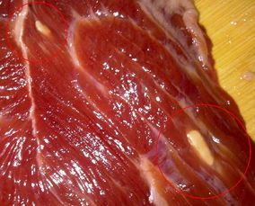 1.2 “元宝耳朵”：财富积累的可嫩性