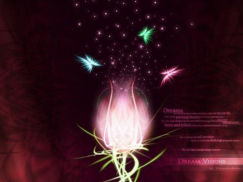 天生的浪漫主义者：情感取向的先天基础与心理特质