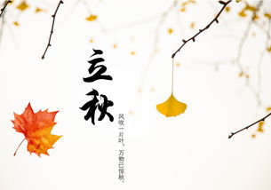 四、  养生之道的学术阐释：身心同调的平衡艺术