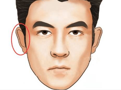 一、 剑眉的解构：果断与决绝的象征