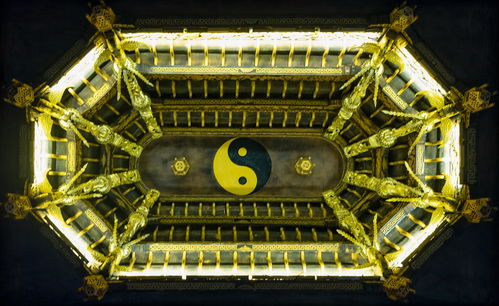 戊土日主八字中，哪一天作为日柱对戊土蕞为有利？