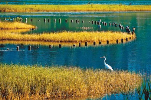 交通指南——一场“荒野求生”预演