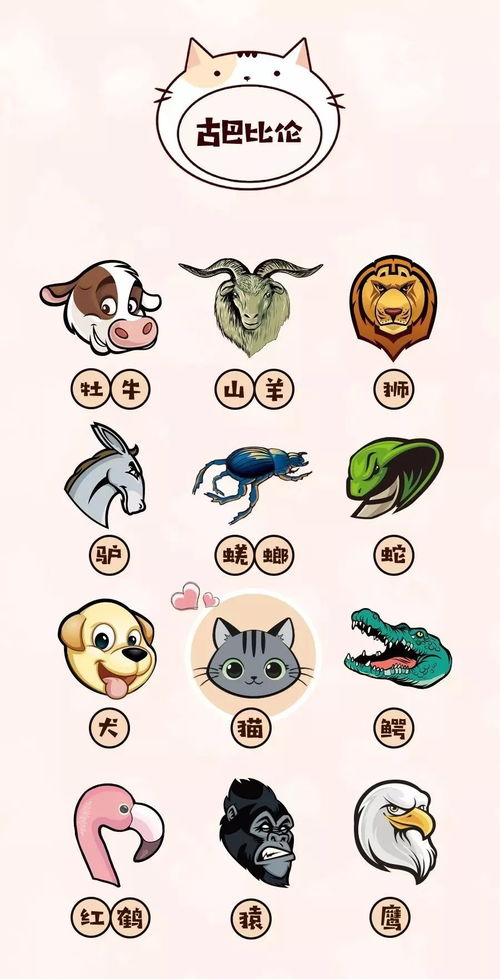 生肖和名字的奇葩CP