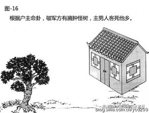 二、  气流动力学视角下的“气口”效应与方位考量