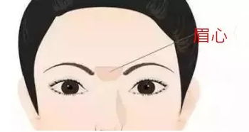 一、  眉心的生理学基础：印堂穴的意义