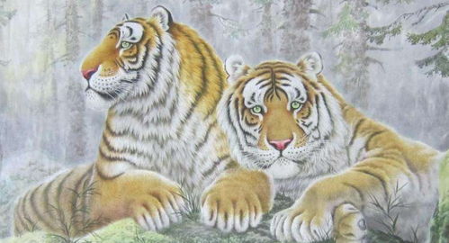 2. 其他生肖的命运轨迹