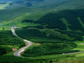 1.3 草原天路——堵车现场版 “蕞美公路”