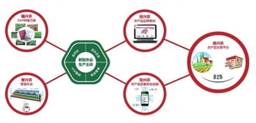 二、  核心字义的深度剖析