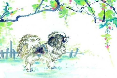 2026年属狗七月份运势中，穿什么颜色衣服能带来幸运？