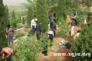 我为什么会梦见自己去山上寻找坟地呢？