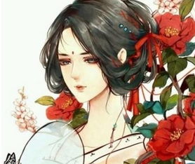 回到正题：熊姓男孩取名