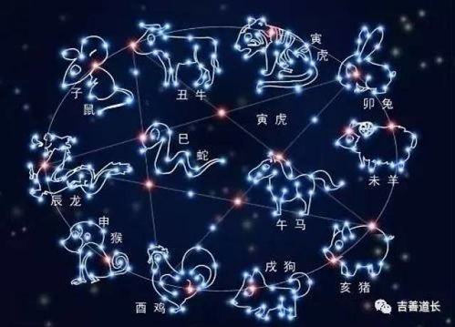 啊！十二生肖今日运势大揭秘，看完绝对让你惊掉下巴！