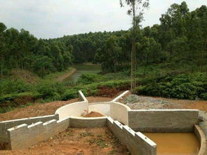 阴宅风水那些不得不说的破事儿