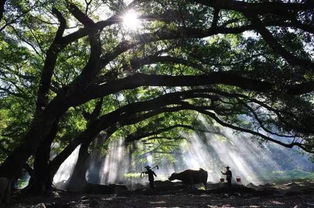前言: 福建的夏天, 一个让人又爱又恨的季节
