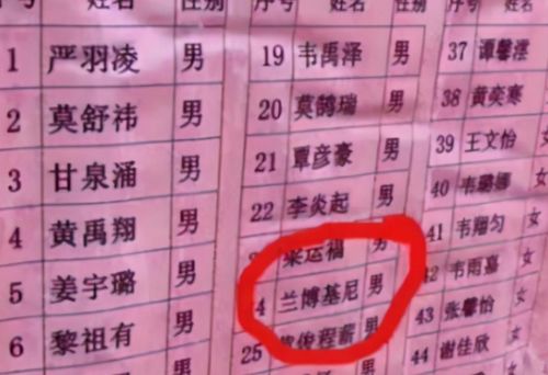 其他取名方法