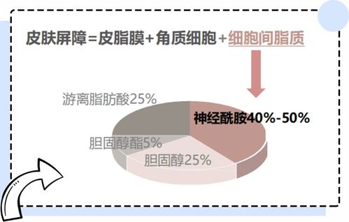 第二步：挖掘你的核心实际价值——像挖宝一样寻觅