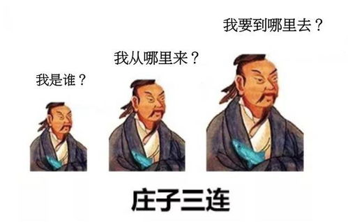 如何将将以张取名和张和石结合改写为一个长尾关键词？