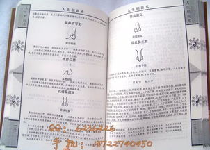 (二) 嘴巴作为活动力指标的科学依据