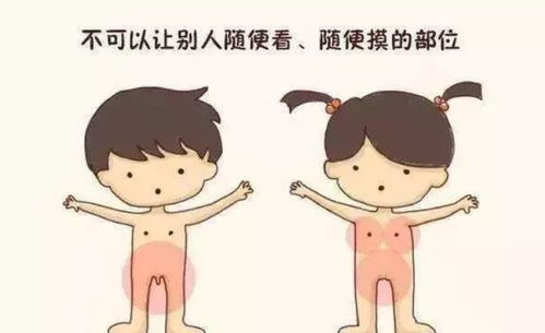 ：显性知识主导地位的现状与反思