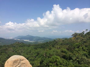 天堂森林公园索桥门票价格到底是多少？千万别被坑哭了！