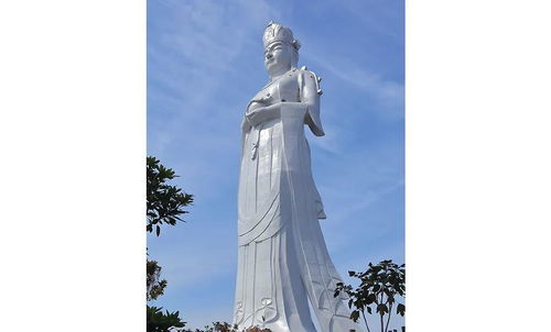 姓王的人在小观音口中有什么特别的含义或说法？