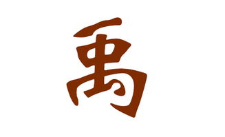 女宝宝起名用禹字是否合适？