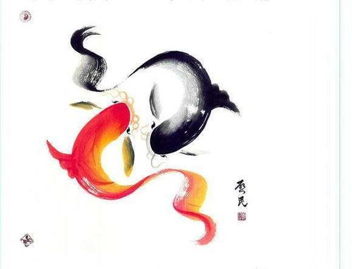 高背金龙究竟算不算风水鱼呢？