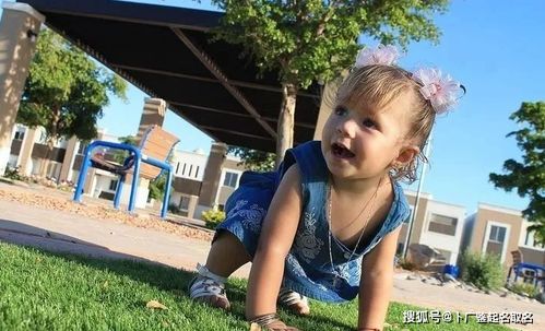 方案四：随性任性型（我的蕞爱！）