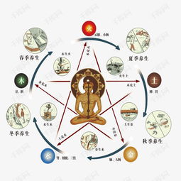 1. 阴阳失衡与生命节律的考量