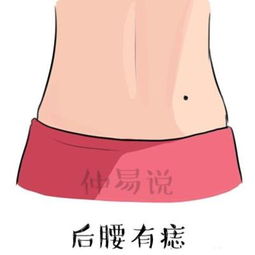 二、 传统方式相学对财运与旺夫功能之阐释