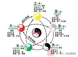 一、  五行金太旺的命理特征与潜在危机