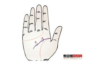 智慧线的形态与认知基础：纹理与思维模式的实证分析