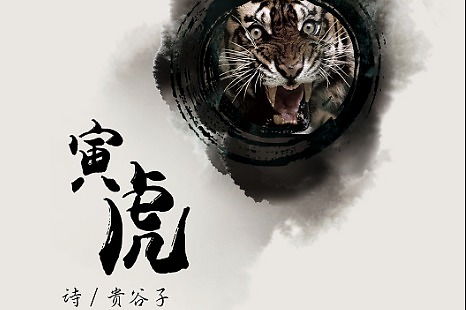 2026年属虎的人每月运势具体如何？