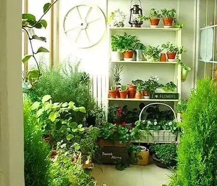 朝西阳台：抵御酷暑烈日