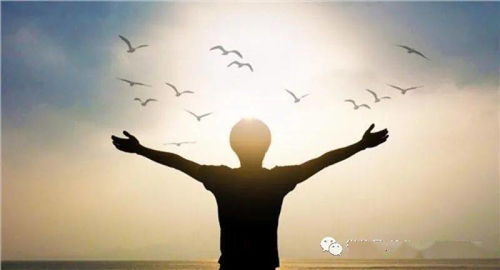 专注自我：人生航向的自主选择