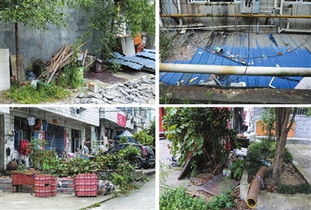 小区公共区域装修的规章制度：严谨施行， 保障权益