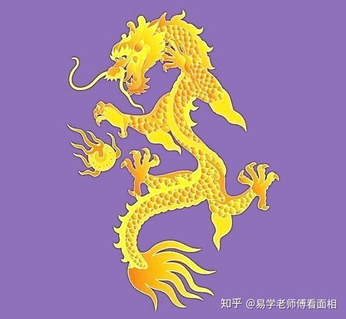 今天属什么生肖的财运最旺？运势吉凶如何？