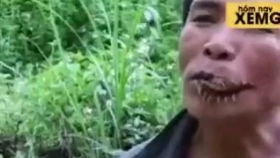 二、字形结构的美丑真的有那么重要吗？